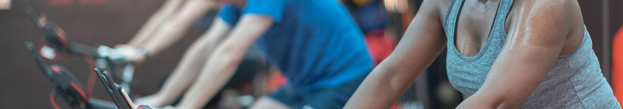 Bisham Website Images 1920X1080 69